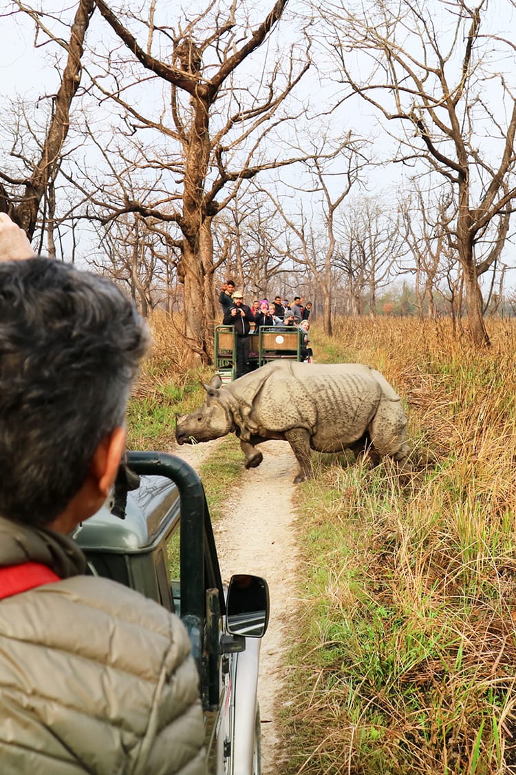 Jeep Safari in Chitwan National Park